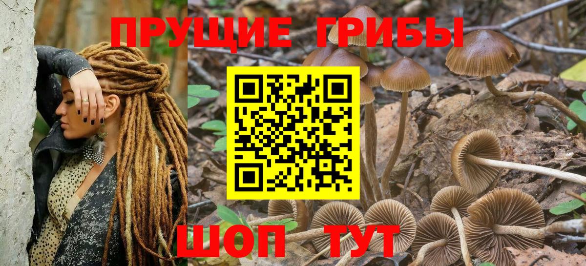 Галлюциногенные грибы мухоморы Гурьевск