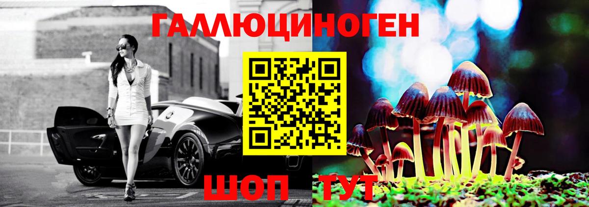 Галлюциногенные грибы Magic Shrooms  Вход с VPN  Галлюциногенные грибы мицелий  Гурьевск 